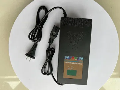 16cells 48V/58.4V5a/6A/8A LiFePO4 Battery Charge Automatic Intelligent Battery Chargers