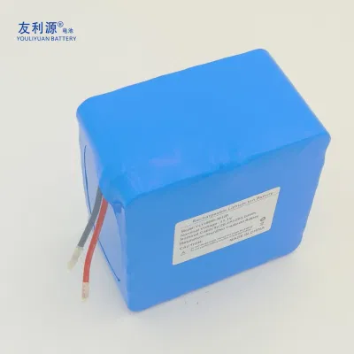 18650 Li-ion Battery Pack 11.1V 24ah 3s12p Lithium Battery Pack Power Battery Battery Storage Battery Charger Lithium Titanate Battery for Electric Motorcycle