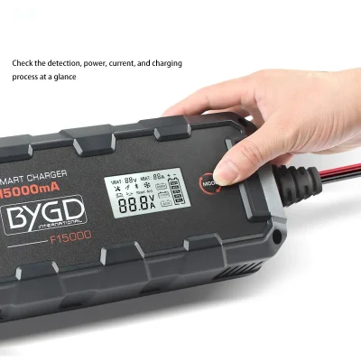 RoHS Approved 12-Volt Durable High Satisfaction Famous Brand Fast Delivery Multiple Repurchase Battery Charger