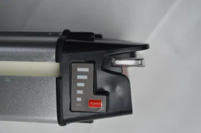 Sans 54.6V 2A Lithium Ion Battery Charger for Sale