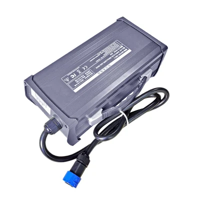 900W Canbus Charger 6s 18V 19.2V LiFePO4 Batteries Chargers 21.6V/21.9V 30A 35A 40A for New Energy Vehicles, Rvs Battery Pack