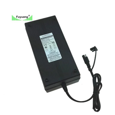 12V 48V 72V 10A 12ah 50A 20 30 50 AMP Electric Vehicle E Rickshaw Motor Xt60 Class 2 Used DC-DC LiFePO4 Battery Charger