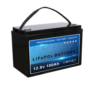 12V/24V/36V/48V 50ah 100ah 150ah 200ah LiFePO4 Lithium Ion Battery for Solar System