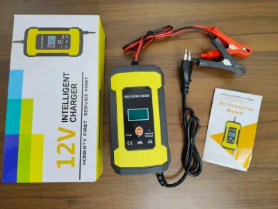 Custom 12 Volt Battery Charger Battery Charger Lead Acid Battery Charger 12V