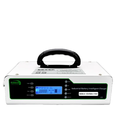 IP65 Lead Acid ION 12/24/48Volt lithium lifepo4 Battery Charger &nbsp;For Golf cart electric car marine
