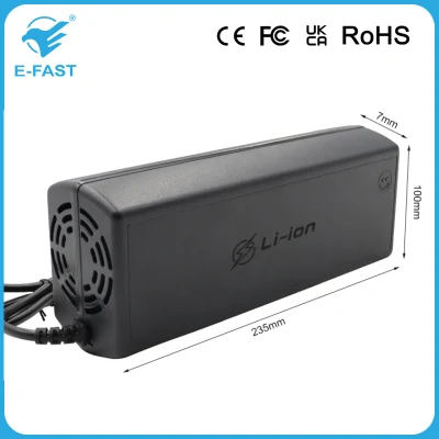 Auto Charger Lithium Battery Charger Intelligent Pulse 12 Volts 20 AMPS