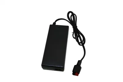 Custom Lithium Ion LiFePO4 25.6V Battery Charger Balance Car Drone E-Car Scooter Weeder