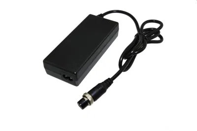 Custom Lithium Ion LiFePO4 25.6V Battery Charger Balance Car Drone E-Car Scooter Weeder