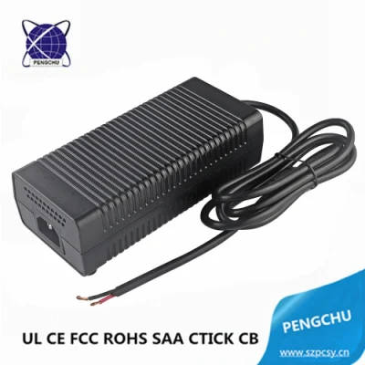 Pengchu 180W 12V 15A 300W/250W/200W/180W AC/DC Desktop Battery Charger with UL CE FCC RoHS Approved