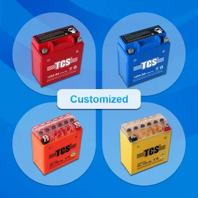 High Quality Battery for &nbsp;6V 4AH &nbsp;Dry Charge Ordinary Water Motorcycle Battery