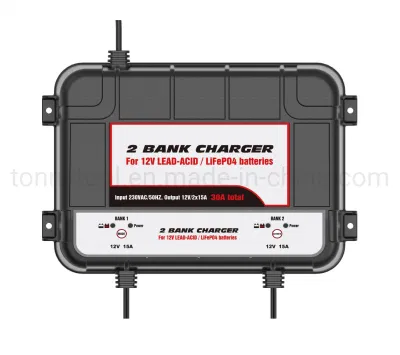 Lithium Battery Charger LCD Display 42V/48V Electric Scooter/Golf Cart/Electric Forklift Used Ebike Charger 48V