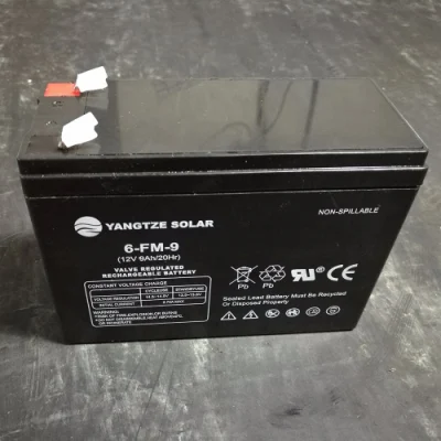 Yangtze 12V 100ah 18650 Battery Pack Charger