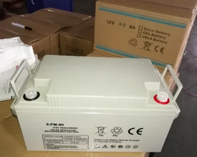 Yangtze 12V 100ah 18650 Battery Pack Charger