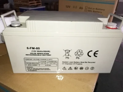 Yangtze 12V 100ah 18650 Battery Pack Charger