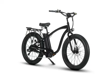 Hot Sale Fat Tire Electric Bicycle 500W Mountain Bike for Sport Tour