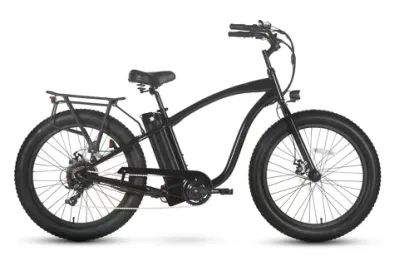 Hot Sale Fat Tire Electric Bicycle 500W Mountain Bike for Sport Tour