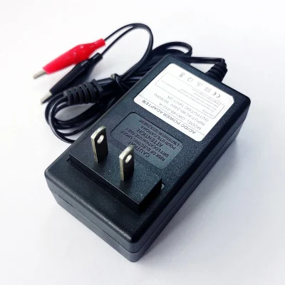 Chargers Adapters 18V/18.25V 1A 24W Au/EU/UK/Us Wall Charger for 5s 15V 16V 1A LFP LiFePO4 LiFePO 4 Battery Charger