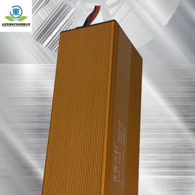 Lithium Ion Battery Charger 12V Customized Ebike LiFePO4 E-Bike Electric Scooter Battery Charger