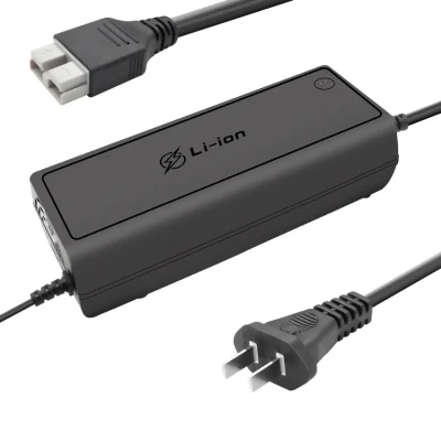 Auto Charger Lithium Battery Charger Intelligent Pulse 12 Volts 20 AMPS