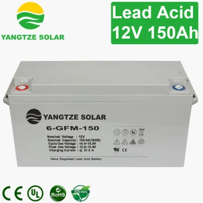 150ah Maintenance Free Deep Cycle Battery Charger