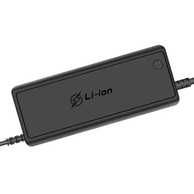 Auto Charger Lithium Battery Charger Intelligent Pulse 12 Volts 20 AMPS