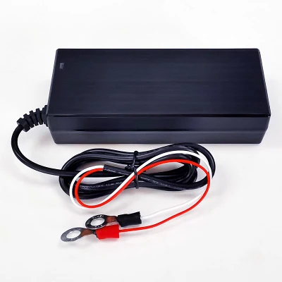 Portable Charger 6s 18V 19.2V 3A 4A 90W Desktop Battery Charger DC 21.6V/21.9V 3A 4A for LFP LiFePO4 LiFePO 4 Battery Pack