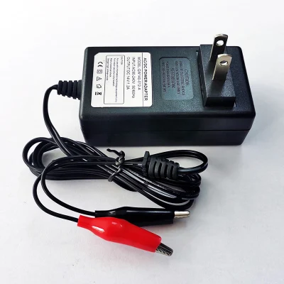 Chargers Adapters 18V/18.25V 1A 24W Au/EU/UK/Us Wall Charger for 5s 15V 16V 1A LFP LiFePO4 LiFePO 4 Battery Charger