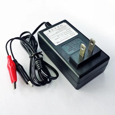 Chargers Adapters 18V/18.25V 1A 24W Au/EU/UK/Us Wall Charger for 5s 15V 16V 1A LFP LiFePO4 LiFePO 4 Battery Charger