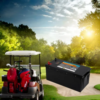 Deep Cycle LiFePO4 Battery Electric Vehicle DC Charger Lithium Ion Battery for EV RV Motorcycle Car Battery