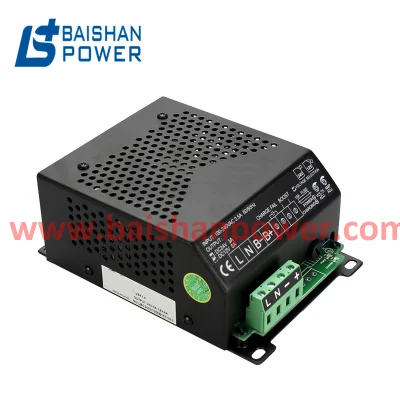 3A 5A10A 12A 20A 40A 12V 24V Battery Charger Marine Diesel Generator Engine Cargador De Bateria Chargeur De Batterie