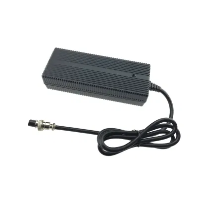 DC 12V/24V/36V/48V Universal Marine/Military/Industrial/Automotive Lead Acid Intelligent Smart Battery Charger 6A-10A-20A-30A