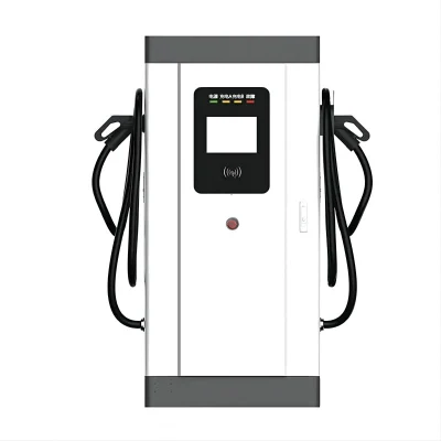 Nancome DC Fast EV Floor-Standing Charger Station for Electric Car