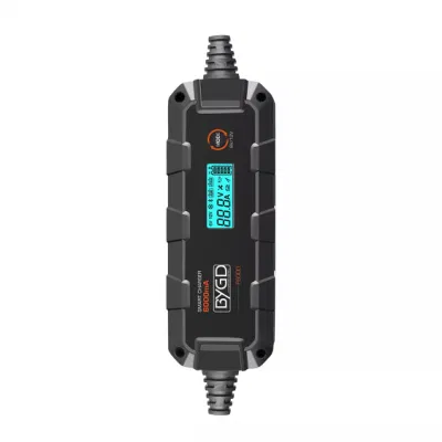 12-Volt RoHS Approved Fast Delivery Existing Goods Multiple Certifications Famous Brand Battery Charger