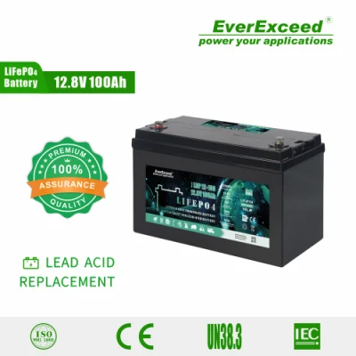 Solar Rechargeable Lithium Battery 12V 100ah Deep Cycle LiFePO4 Battery Pack for Lead Acid Battery Replacement