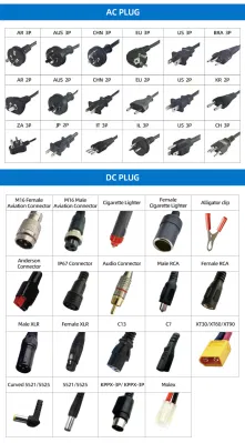 Fuyuang SAA Kc Li-ion Charger 6A 72 Volt Lithium Ion Battery Charge 48V 60V 4A 5A Electric Bike Battery Charger