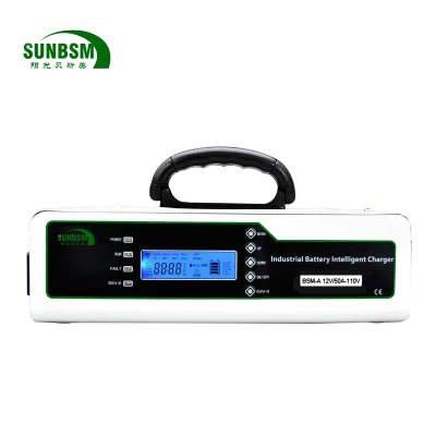 500W Portable Battery For Golf Car automatic 12v 24v 48v lifepo4 hybrid Lithium lead-acid battery charger