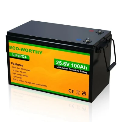 Eco-Worthy 24V 100ah Solar LiFePO4 Ion Lithium Battery for Home Use 48V