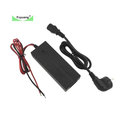 Drone Electric Scooter Car Sweeper Charger 21.6V 6s Lion Batteries 12A Lithium-Iron Phosphate Battery Charger 25.2V