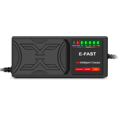 Factory Direct Vehicle Tools 48V12ah Lead Acid Battery Charger