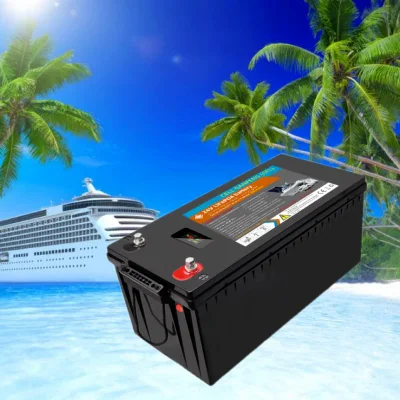 Deep Cycle LiFePO4 Battery Electric Vehicle DC Charger Lithium Ion Battery for EV RV Motorcycle Car Battery