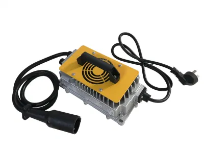 High Quality Weatherproof High Speed Au Rema Plug in Power Adapter 12V 24V 36V 48 Volt Battery Charger