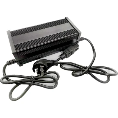 Factory Price 60V 12ah 2A Plastic LiFePO4 Battery Charger for Electric Scooter Bike E Bike Motor