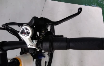 36V/48V 750W/1000W Hidden Battery Hummer &nbsp;Folding Full Suspention Magnesium Wheel Mountain Electric E-Bicycle