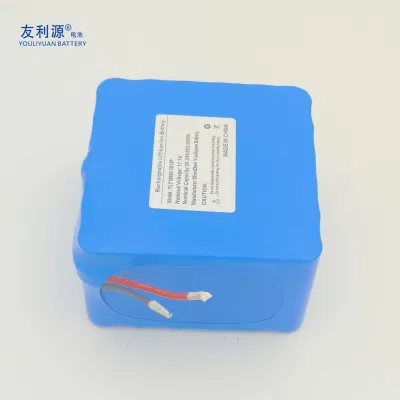 18650 Li-ion Battery Pack 11.1V 24ah 3s12p Lithium Battery Pack Power Battery Battery Storage Battery Charger Lithium Titanate Battery for Electric Motorcycle