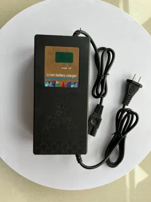 16cells 48V/58.4V5a/6A/8A LiFePO4 Battery Charge Automatic Intelligent Battery Chargers