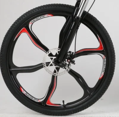 36V/48V 750W/1000W Hidden Battery Hummer &nbsp;Folding Full Suspention Magnesium Wheel Mountain Electric E-Bicycle