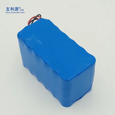 OEM /ODM Battery Charger 11.1V 12V 24V 48V 15ah 24ah 30ah 54ah Storage Rechargeable Battery Lithium Battery Pack Solar Battery UPS Battery Power Tool Battery