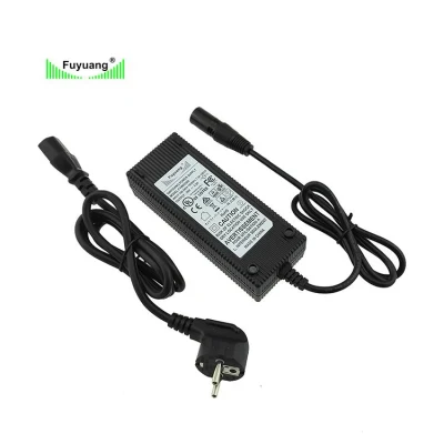 Drone Electric Scooter Car Sweeper Charger 21.6V 6s Lion Batteries 12A Lithium-Iron Phosphate Battery Charger 25.2V