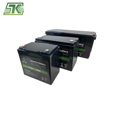 12V 24V 48V 50ah 100ah 120ah 150ah 200ah 300ah LiFePO4 Seftec Deep Cycle Solar Energy Storage Lithium UPS Lithium Ion Battery