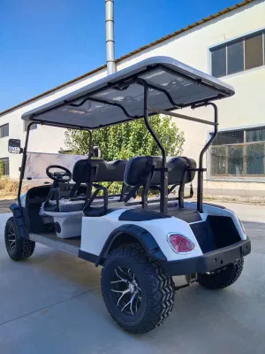 48V Battery Charger 48V 60V 72V Lithium Ion Battery and Charger 20A 25A Rapid Charger for Golf Cart Club Car